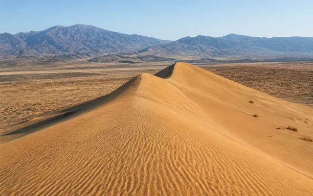 Wind-shaped golden ridge of the Singing Dune with dry steppe and mountains in Altyn-Emel National Park