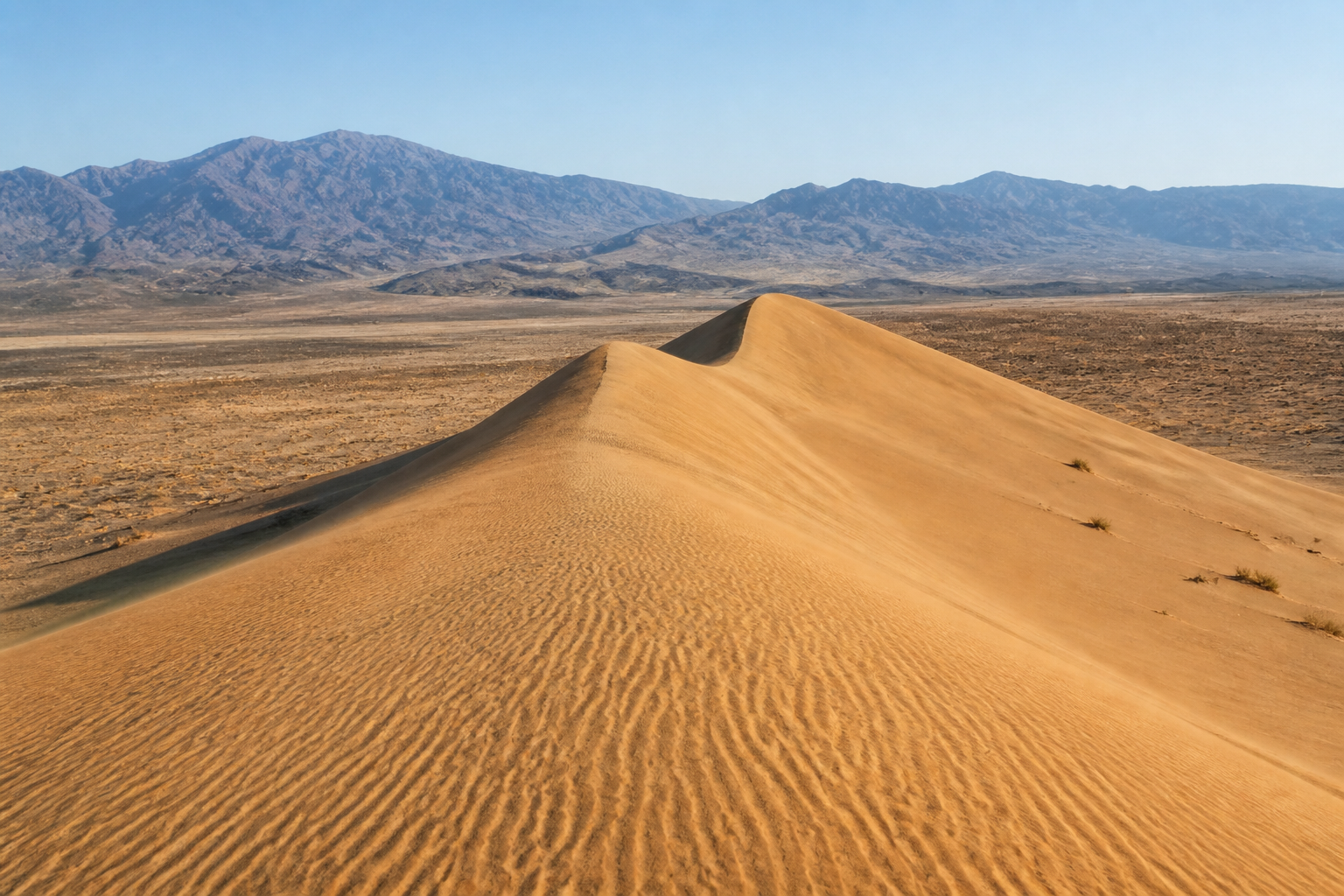 Wind-shaped golden ridge of the Singing Dune with dry steppe and mountains in Altyn-Emel National Park