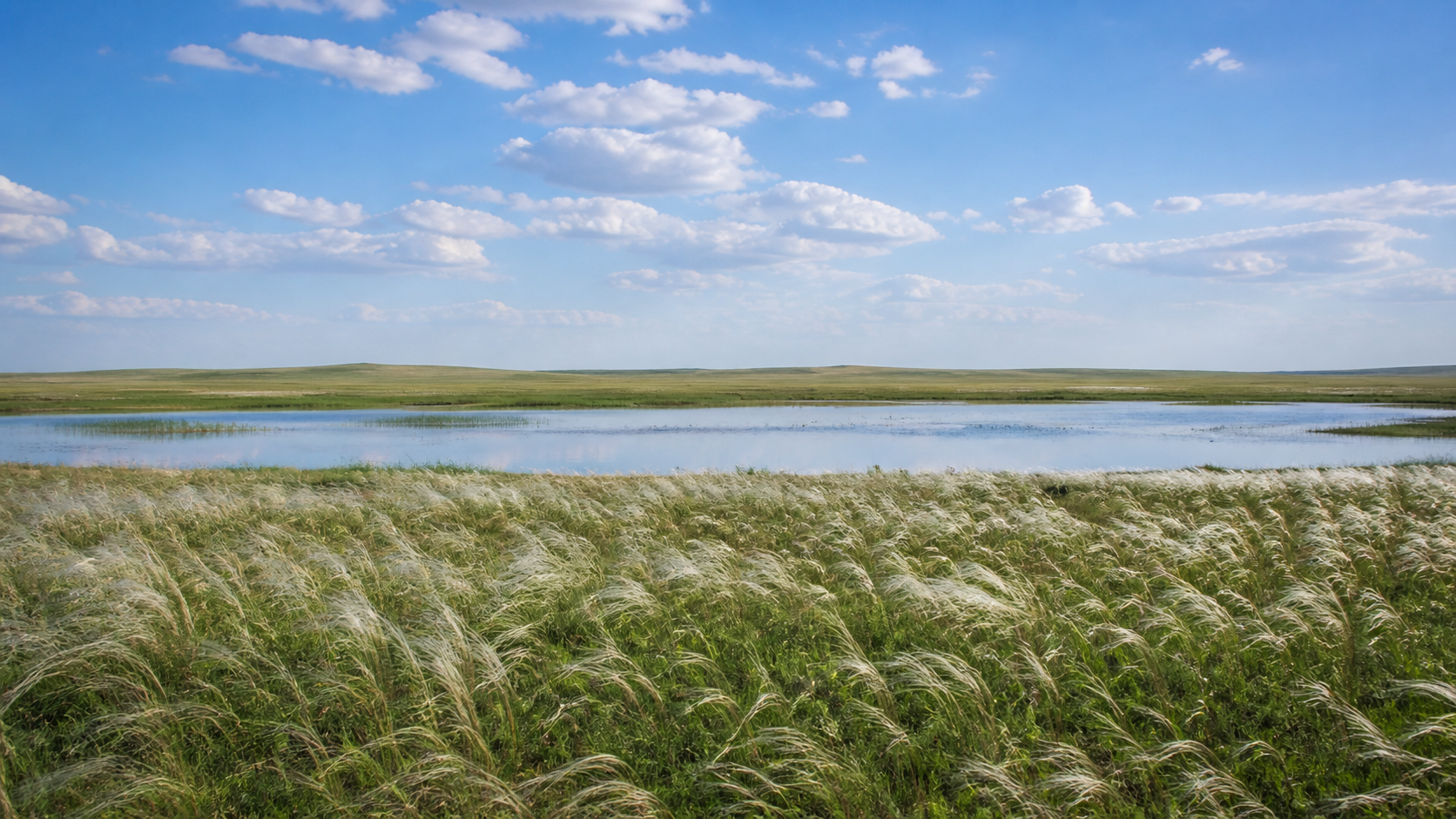 Wind moving through pale steppe grass beside a shallow lake under a broad blue sky