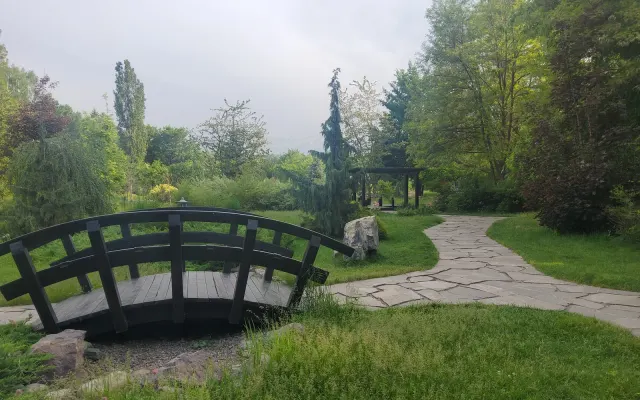 A small bridge and stone path in the Japanese Garden of Almaty Botanical Garden, May 2022