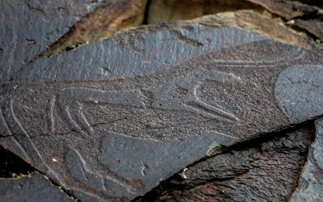 Ancient petroglyphs carved into dark rock at the Tanbaly archaeological site